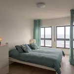 Populo Mar Apartment Ponta Delgada (Sao Miguel)